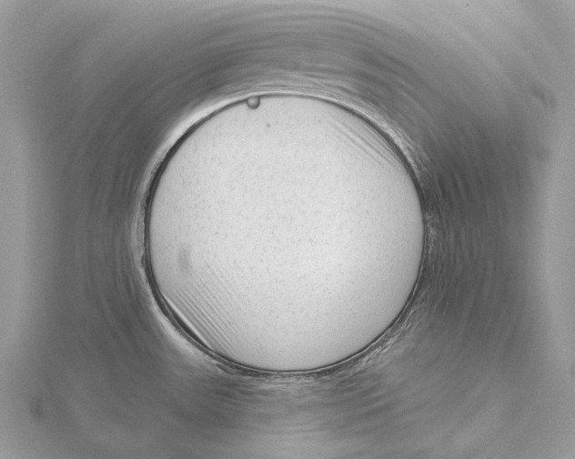 X0000115551531200912041022