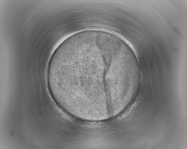 X0000115551533200912041022