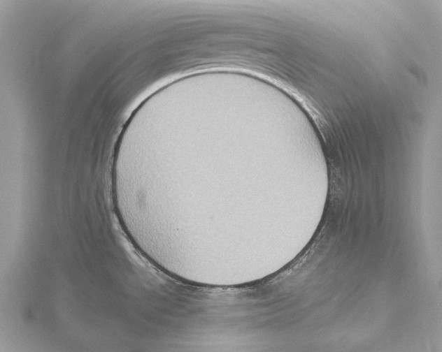 X0000115551534200912041022