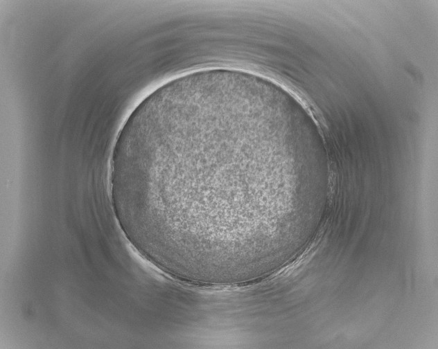 X0000115551535200912041022