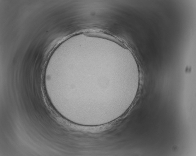 X0000115550001200912181604