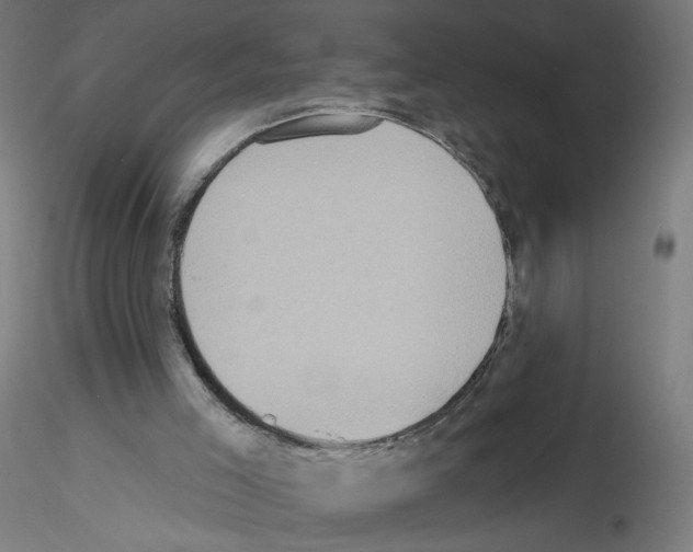 X0000115550005200912181604