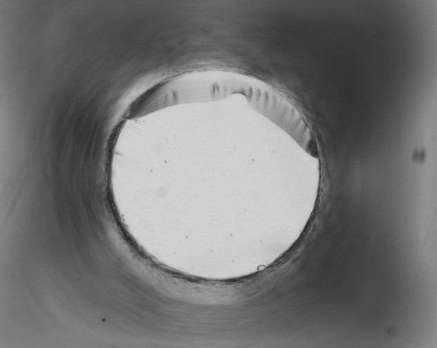 X0000115550008200912181604