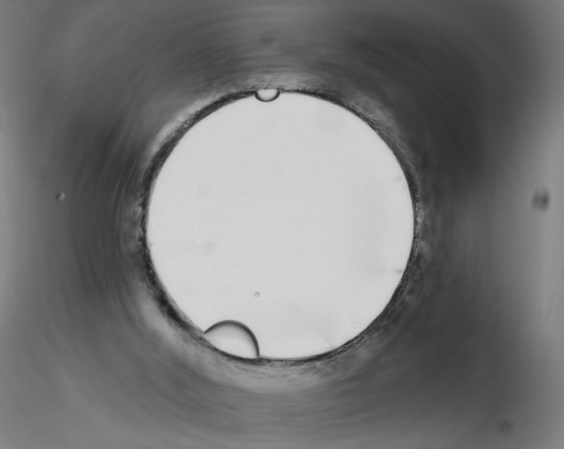 X0000115550012200912181604