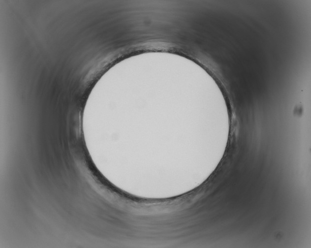 X0000115550013200912181604