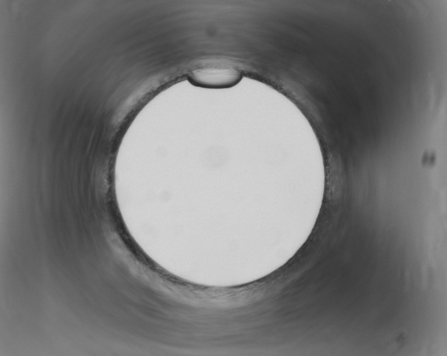 X0000115550015200912181604