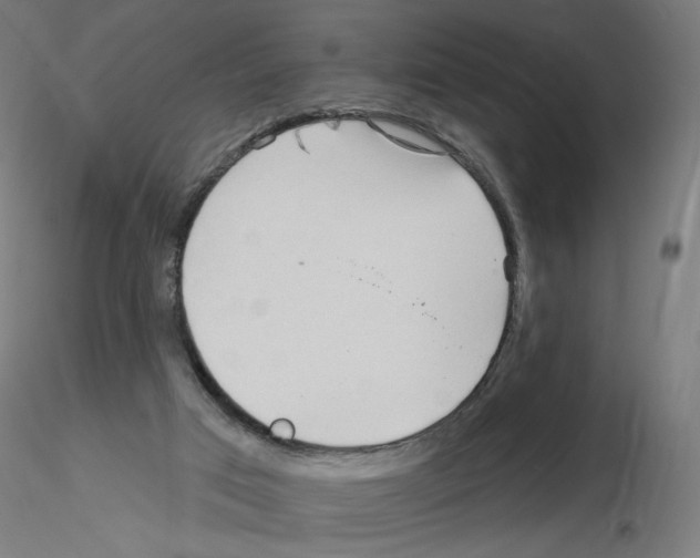 X0000115550017200912181604