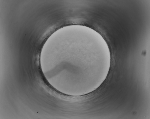 X0000115550019200912181604