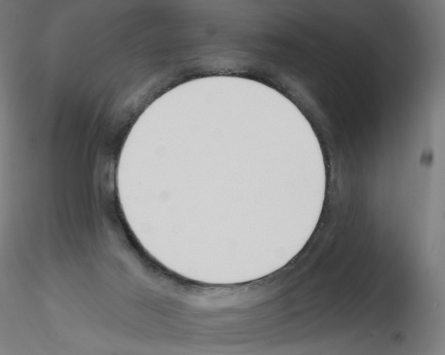 X0000115550021200912181604