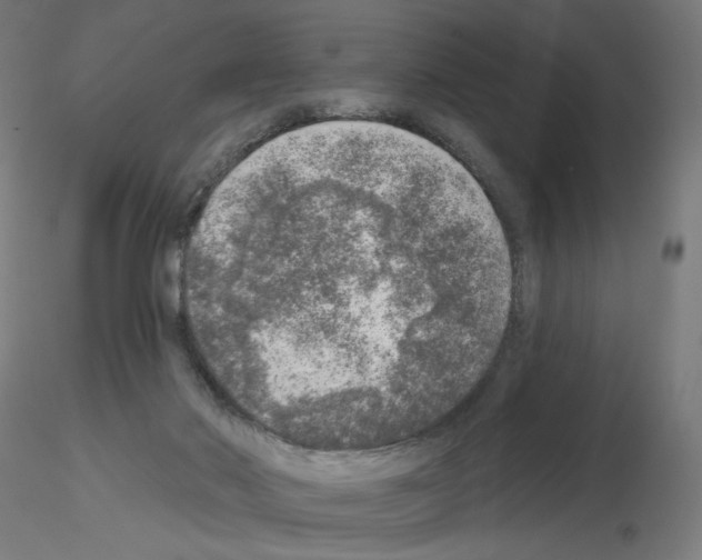 X0000115550022200912181604