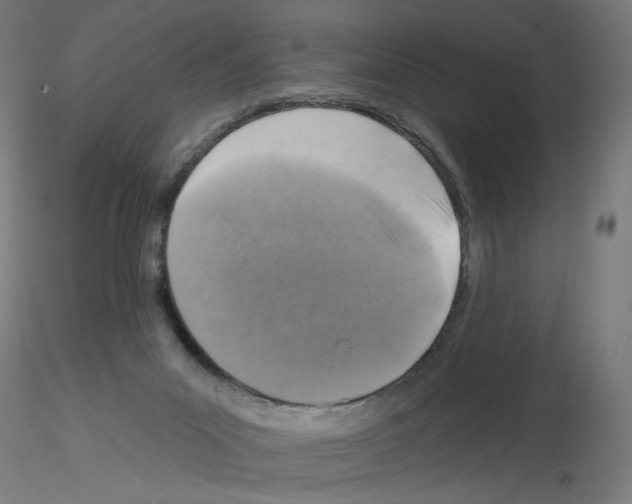 X0000115550023200912181604