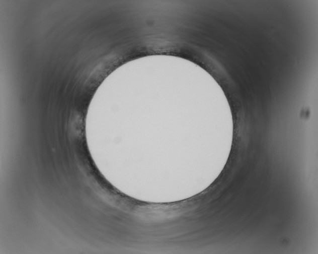 X0000115550025200912181604