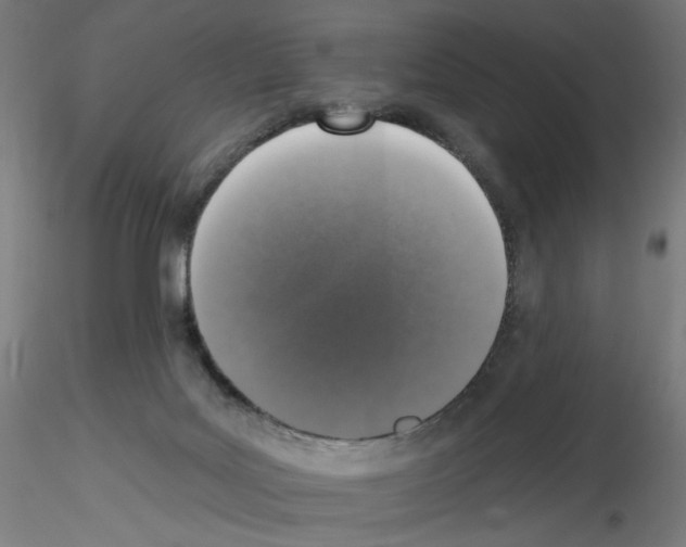 X0000115550027200912181604