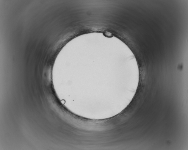 X0000115550028200912181604