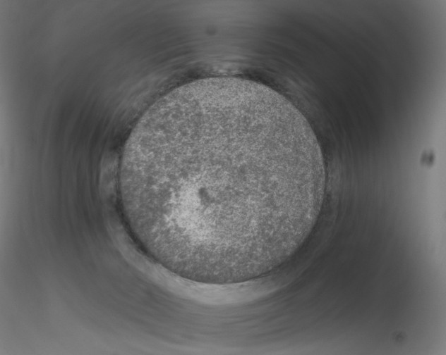 X0000115550030200912181603