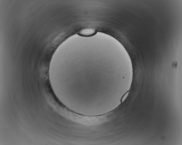 X0000115550031200912181603