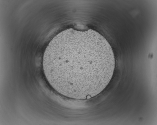 X0000115550032200912181603