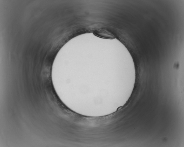 X0000115550033200912181603