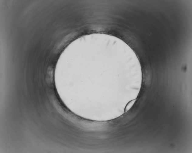 X0000115550036200912181603