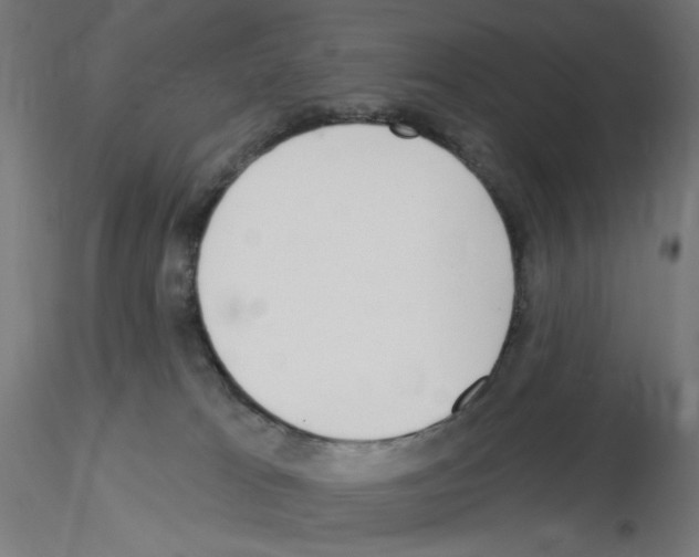 X0000115550037200912181603