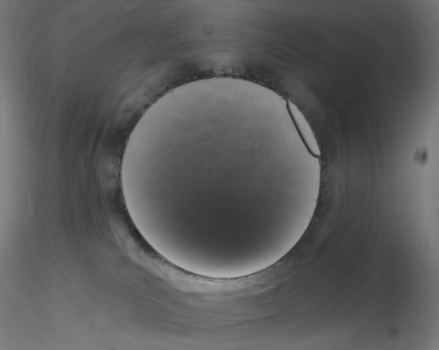 X0000115550039200912181603