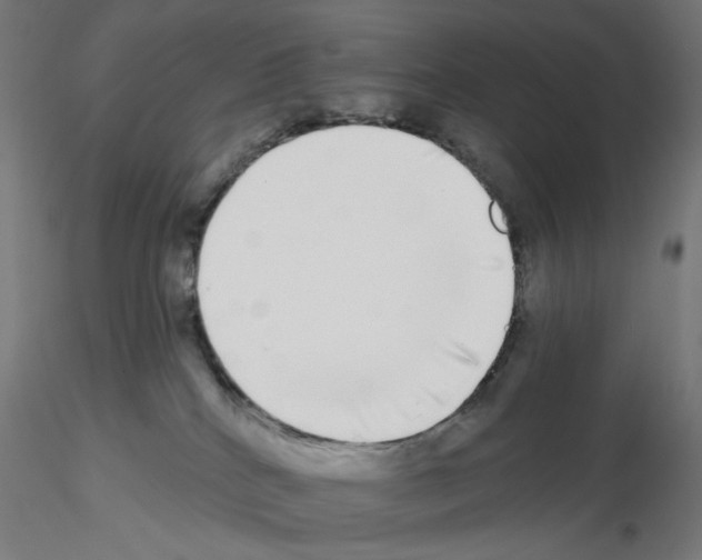 X0000115550040200912181603