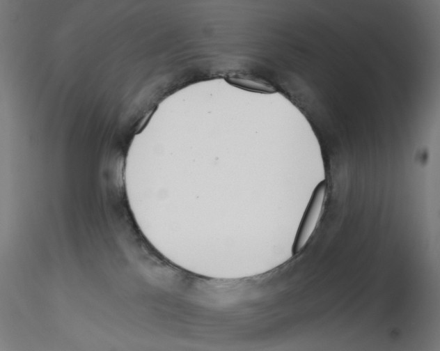 X0000115550041200912181603