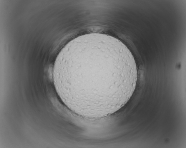 X0000115550042200912181603