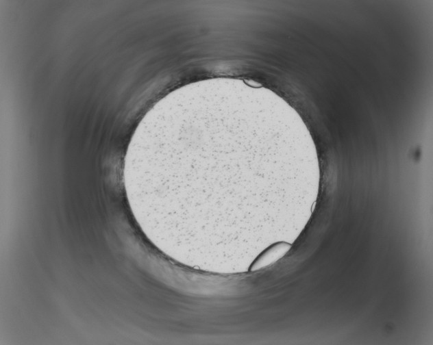 X0000115550044200912181603