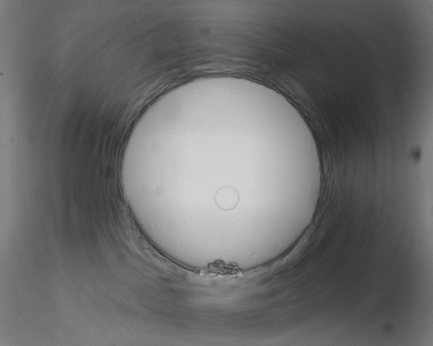 X0000115550045200912181603