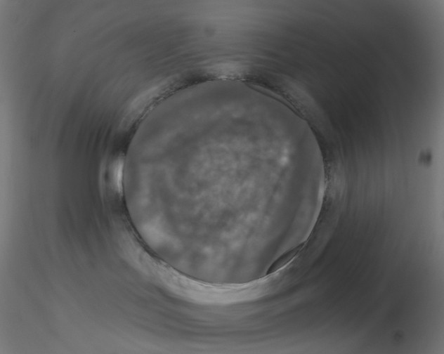 X0000115550047200912181603