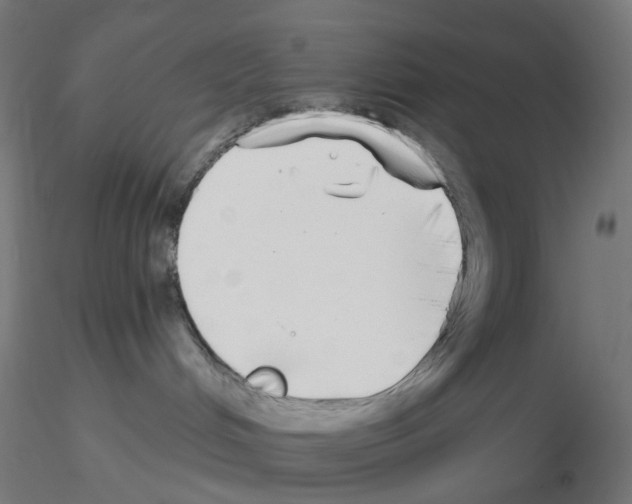 X0000115550048200912181603