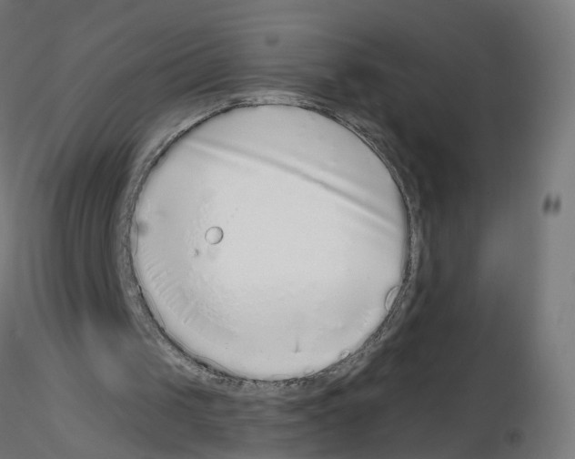 X0000115550049200912181602