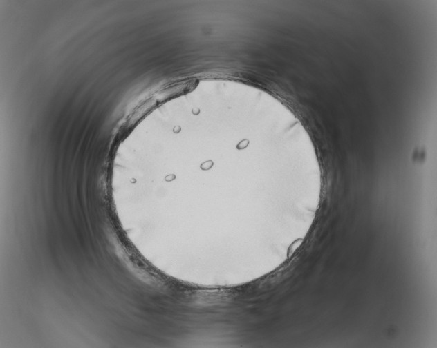 X0000115550050200912181602