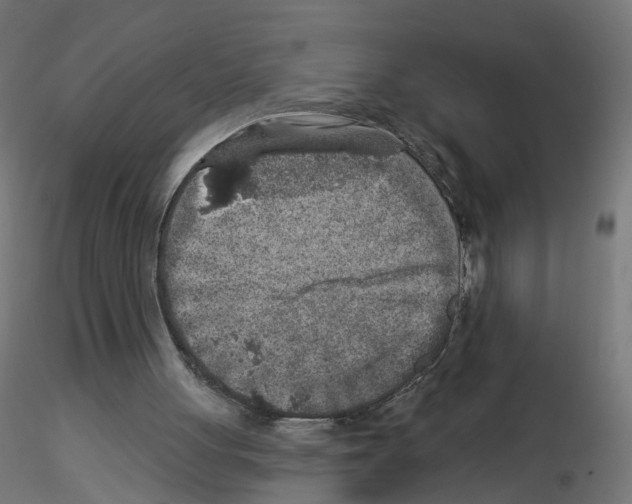 X0000115550051200912181602