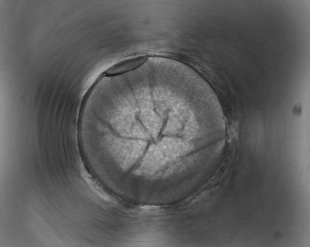 X0000115550052200912181603