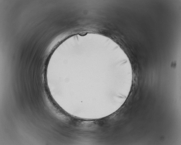 X0000115550054200912181603