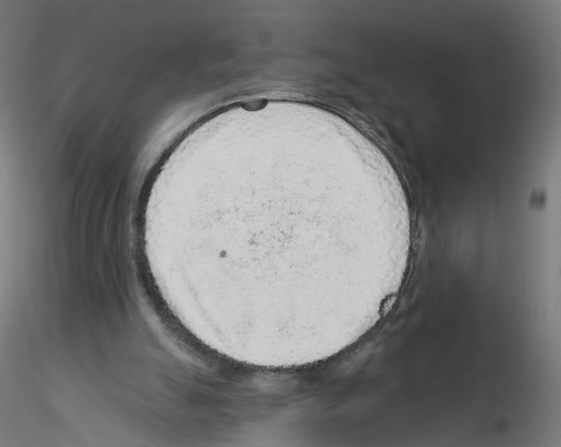 X0000115550055200912181603