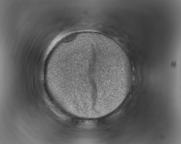 X0000115550056200912181603