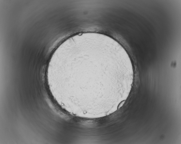 X0000115550058200912181603