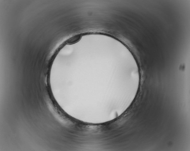 X0000115550060200912181603