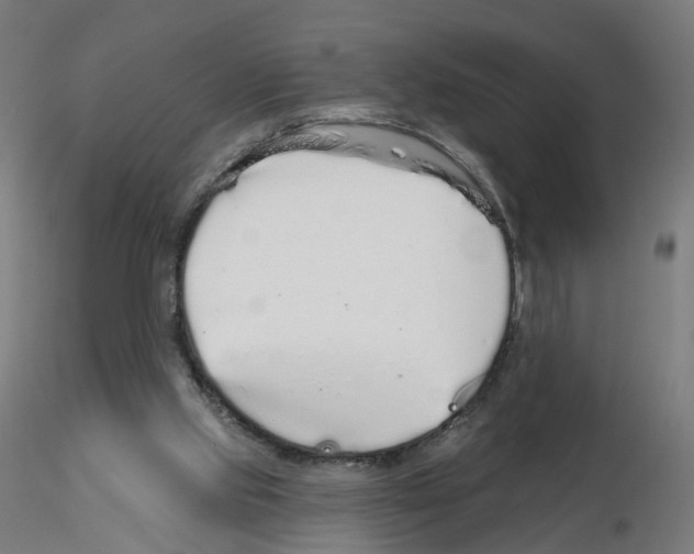 X0000115550061200912181603