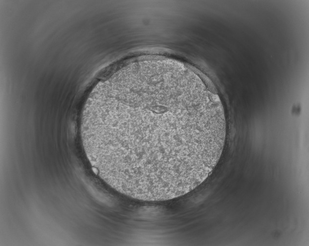 X0000115550063200912181603