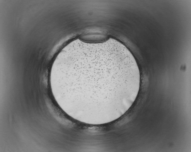 X0000115550064200912181603