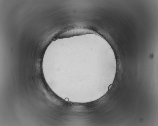 X0000115550066200912181603