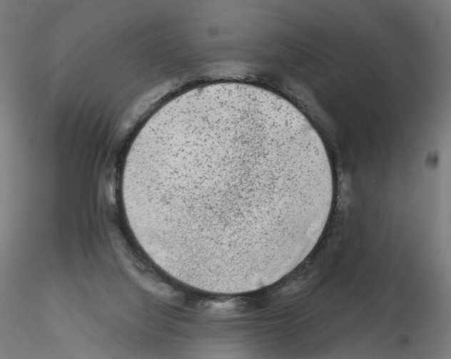 X0000115550068200912181603