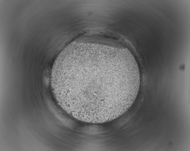 X0000115550069200912181603