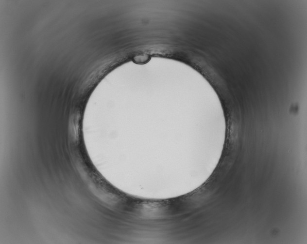 X0000115550070200912181603