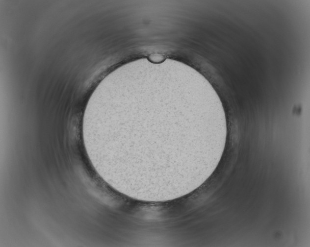 X0000115550071200912181603