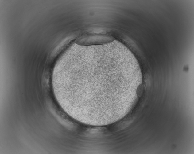 X0000115550072200912181603